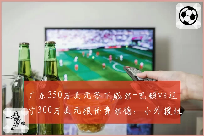 广东350万美元签下威尔-巴顿vs辽宁300万美元报价费尔德，小外援性价比之争谁能笑到最后